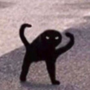 Meet your Posher, Kaitlyn